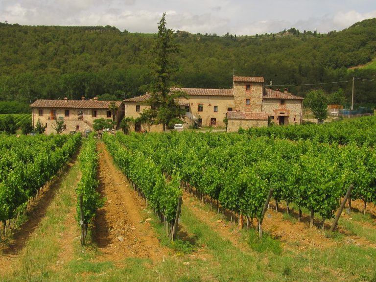 chianti mountains tuscany wine 518459