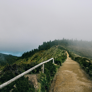 image 1 3